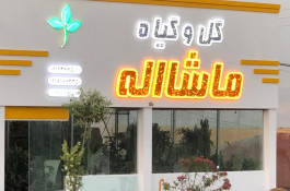 گلخانه و بازار گل و تولید گل و گیاه در محلات