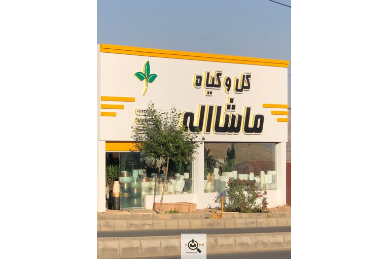 گلخانه و بازار گل و تولید گل و گیاه در محلات