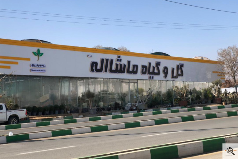 گلخانه و بازار گل و تولید گل و گیاه در محلات