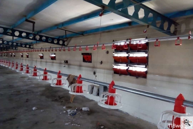 کارگاه تولید و فروش تجهیزات مرغداری فقیه لو در قزوین