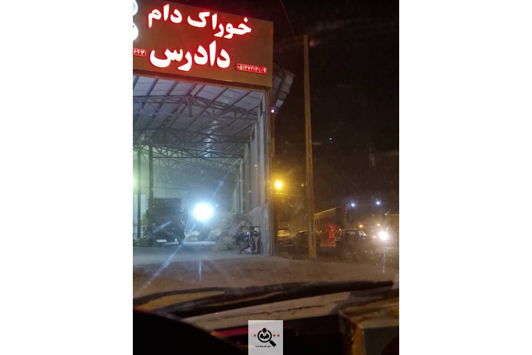 خوراک دام دادرس در قوچان