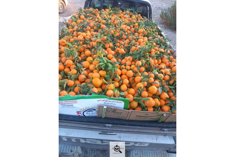 محصولات كشاورزی و مركبات دادالهی در كرمان