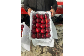 بازرگانی نورالدین علیپور در اشنویه