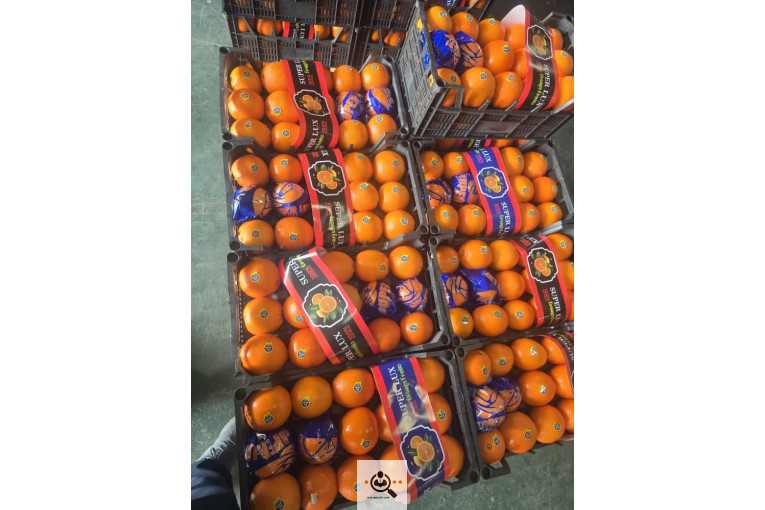 بازرگانی نورالدین علیپور در اشنویه