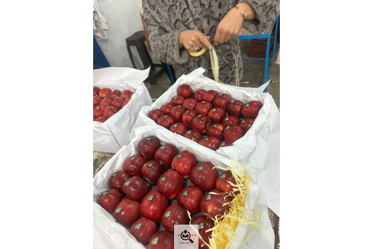 بازرگانی نورالدین علیپور در اشنویه