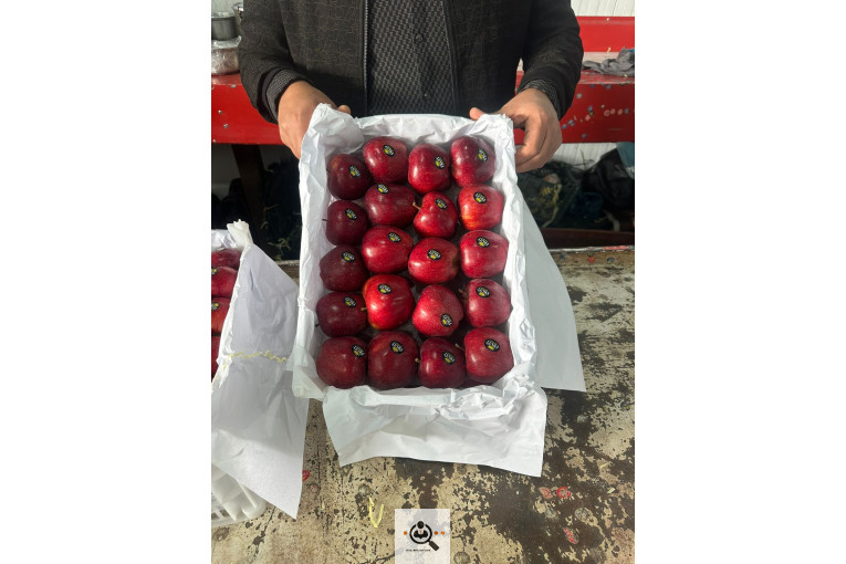 بازرگانی نورالدین علیپور در اشنویه