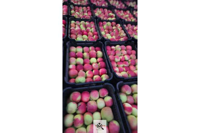 بازرگانی نورالدین علیپور در اشنویه