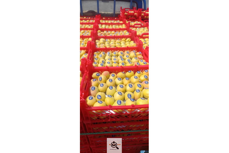 بازرگانی نورالدین علیپور در اشنویه