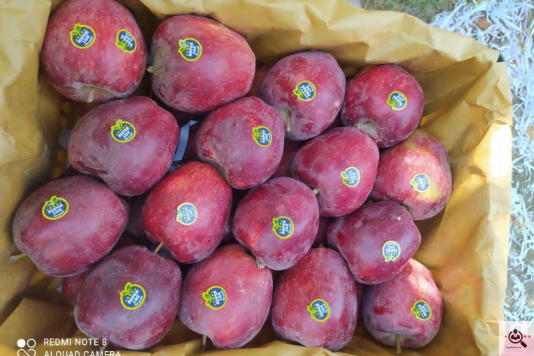 فروش سیب لوکس در مراغه