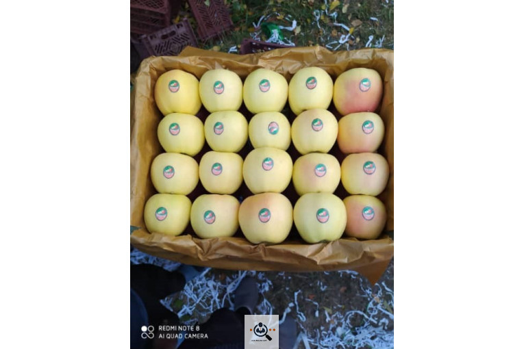 فروش سیب لوکس در مراغه