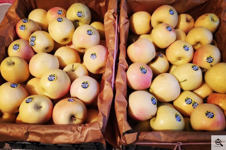 فروش سیب لوکس در مراغه