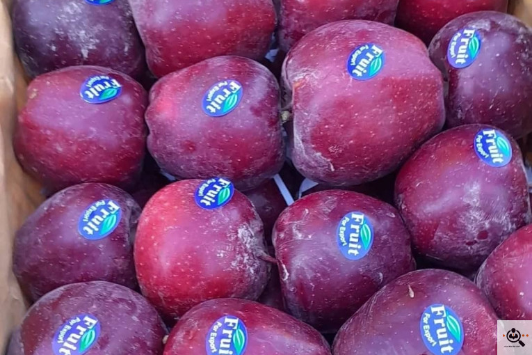 فروش سیب لوکس در مراغه