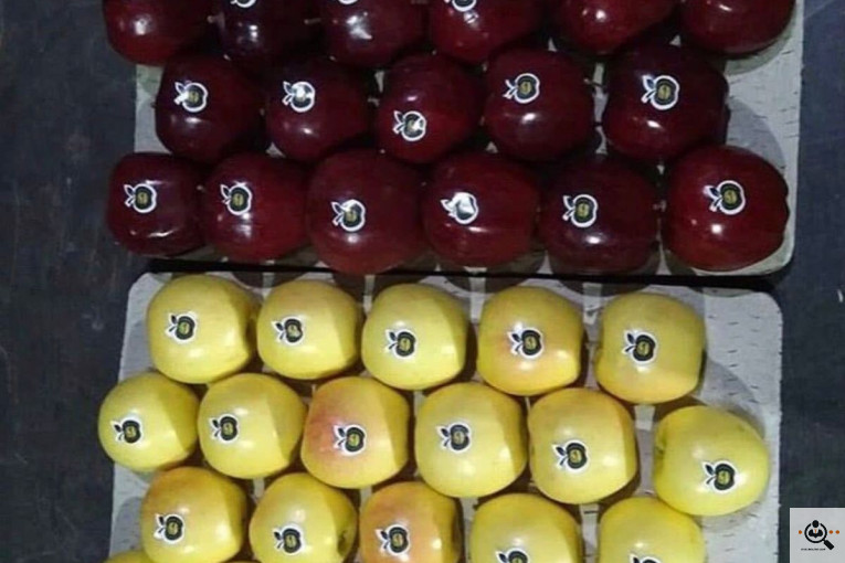 فروش سیب لوکس در مراغه