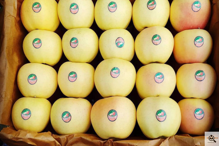 فروش سیب لوکس در مراغه