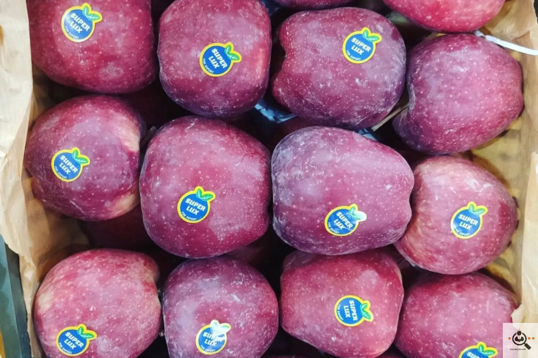 فروش سیب لوکس در مراغه