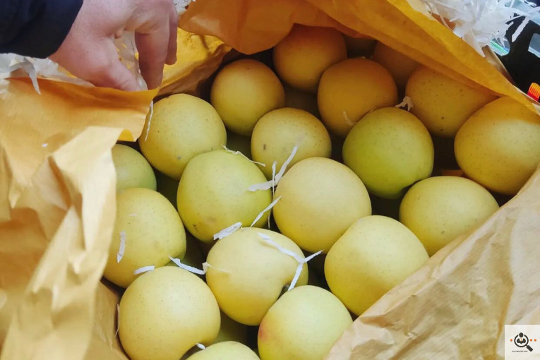 فروش سیب لوکس در مراغه