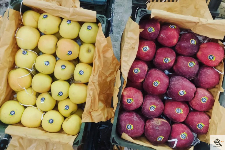 فروش سیب لوکس در مراغه