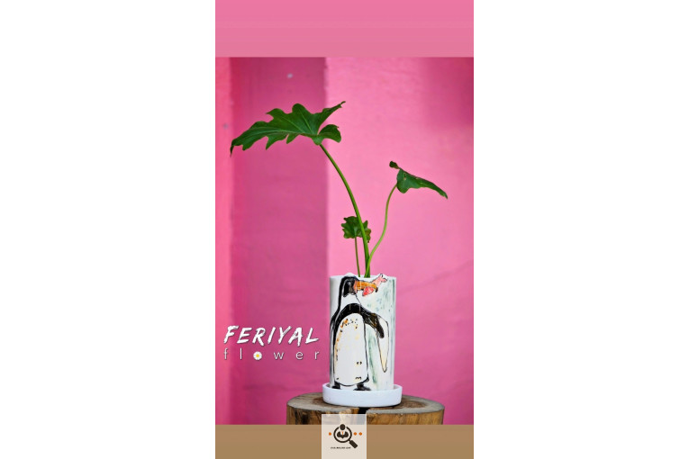 گل فروشی فريال در اصفهان