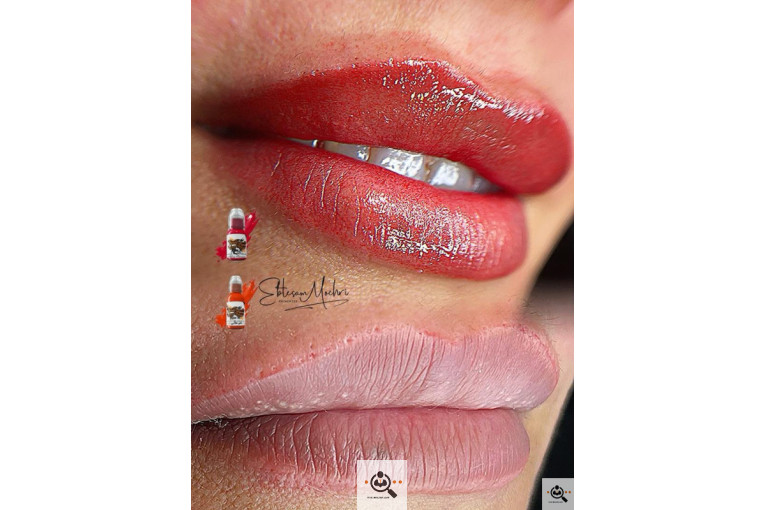 بهترین خدمات فیبروز و میکروبلیدینگ در شاهین شهر : راهنمای کامل