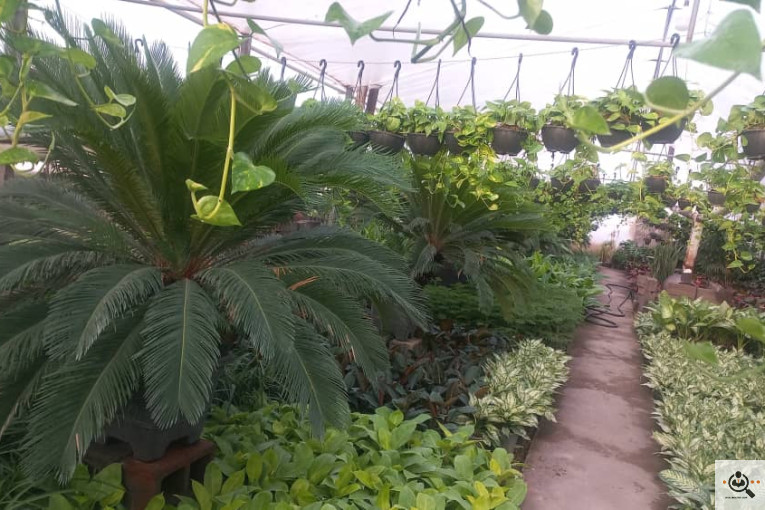 گلباغ گل منظر ایرانیان در محلات