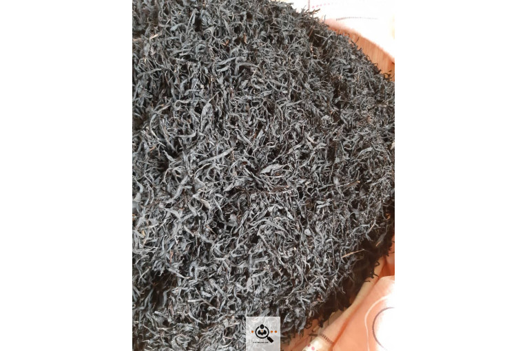 کارگاه چایسازی بهمنیار در املش