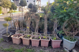 گلکده بشیری در خرم آباد