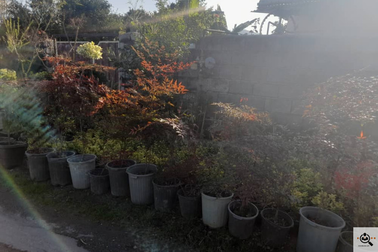 گلکده بشیری در خرم آباد