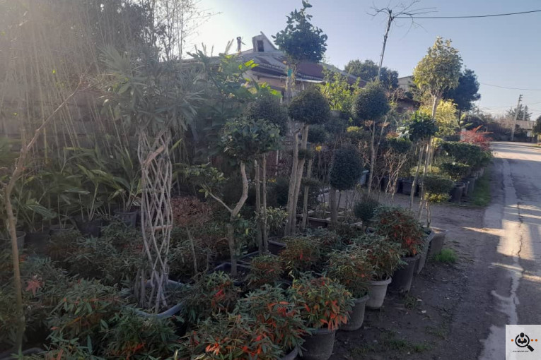 گلکده بشیری در خرم آباد