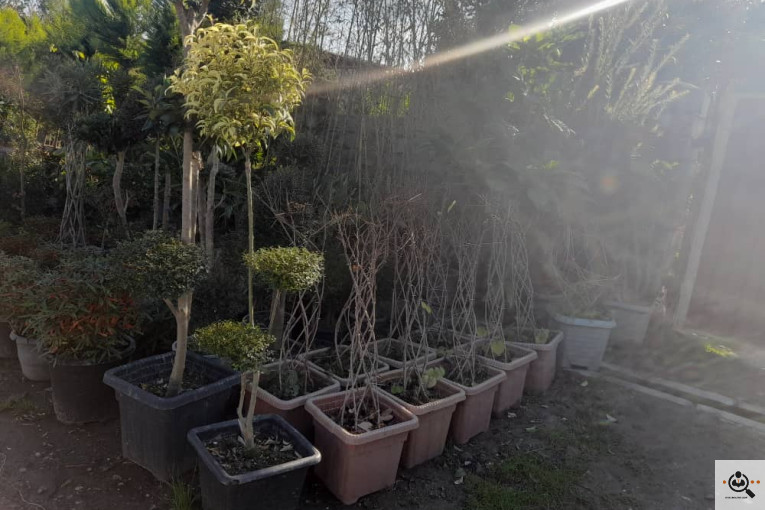 گلکده بشیری در خرم آباد