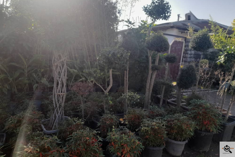 گلکده بشیری در خرم آباد