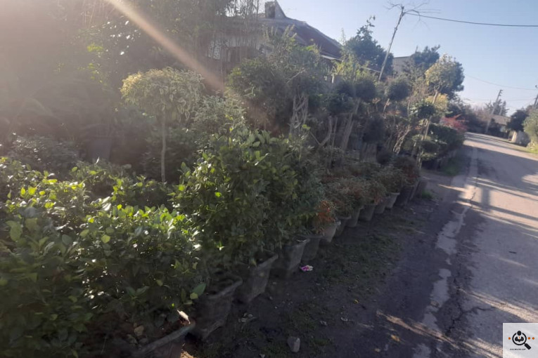 گلکده بشیری در خرم آباد