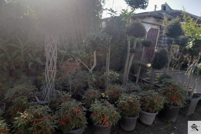 گلکده بشیری در خرم آباد