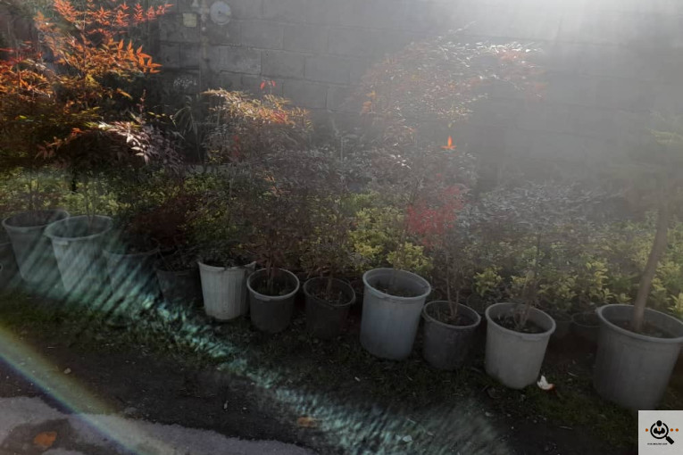 گلکده بشیری در خرم آباد