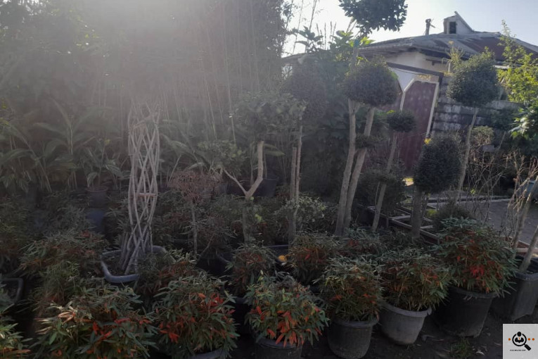 گلکده بشیری در خرم آباد