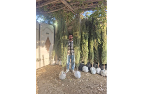 نهالستان استقلال در کوار