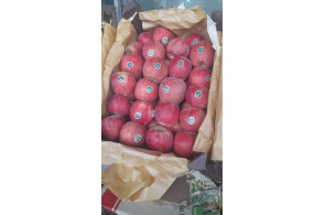 میدان میوه و تره بار الغدیر اهواز غرفه 54 بارفروشی و حق العمل کاری علی ظاهری تلفن 09163561537