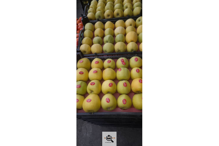 بارفروشی و حق العمل کاری میدان تره بار علی زاهدی در اهواز