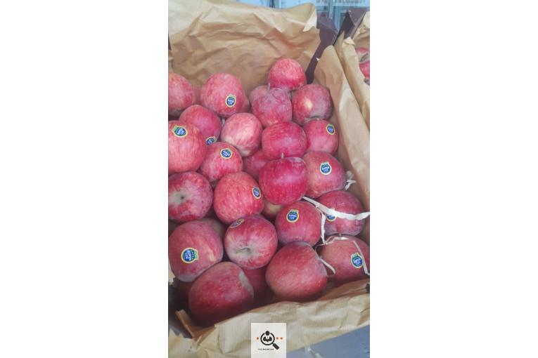 بارفروشی و حق العمل کاری میدان تره بار علی زاهدی در اهواز