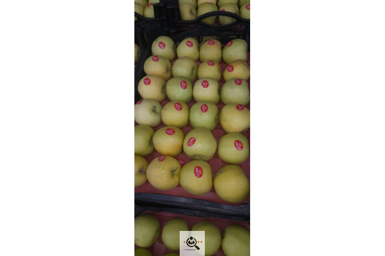 بارفروشی و حق العمل کاری میدان تره بار علی زاهدی در اهواز