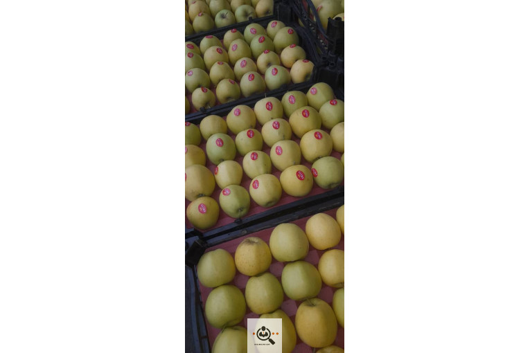 بارفروشی و حق العمل کاری میدان تره بار علی زاهدی در اهواز