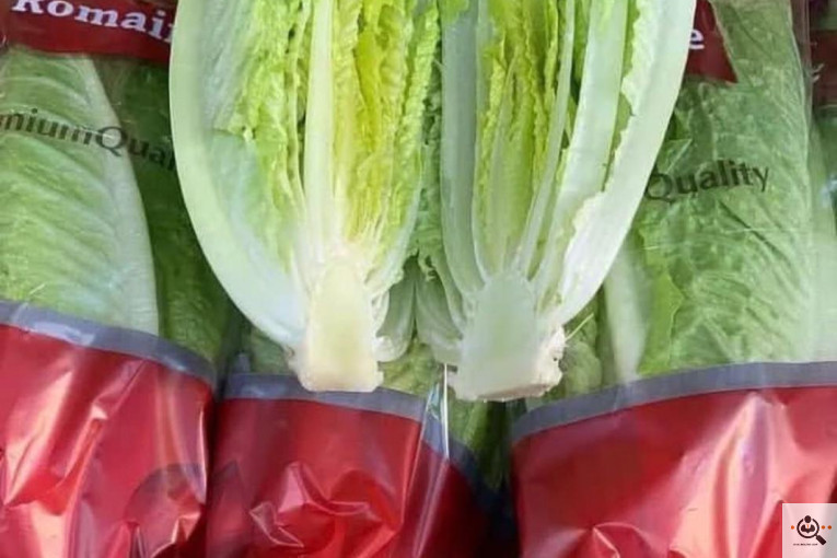 بارفروشی و حق العمل کاری میدان تره بار علی زاهدی در اهواز