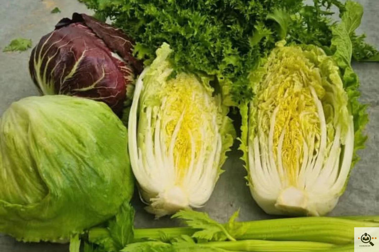 بارفروشی و حق العمل کاری میدان تره بار علی زاهدی در اهواز