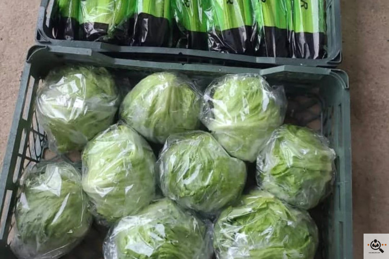 بارفروشی و حق العمل کاری میدان تره بار علی زاهدی در اهواز