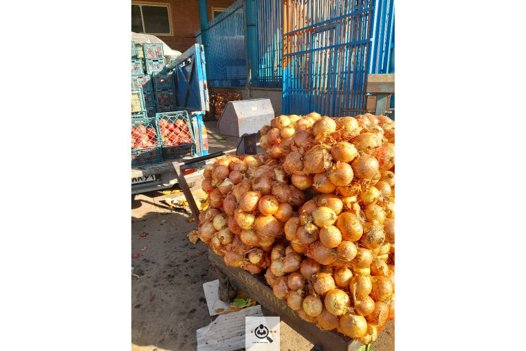 میدان میوه تربار الغدیر اهواز غرفه 54 بارفروشی و حق العمل کاری علی ظاهری تلفن 09163561537