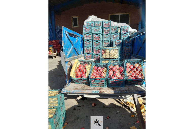 میدان میوه تربار الغدیر اهواز غرفه 54 بارفروشی و حق العمل کاری علی ظاهری تلفن 09163561537