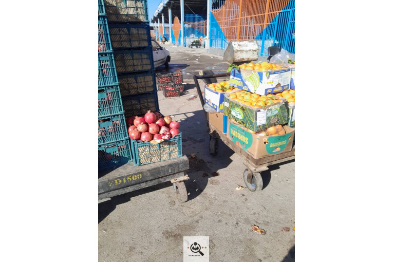 میدان میوه و تره بار الغدیر اهواز غرفه 54 بارفروشی و حق العمل کاری علی ظاهری تلفن 09163561537