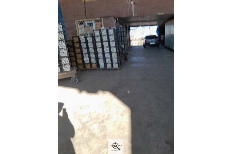 میدان میوه و تره بار الغدیر اهواز غرفه 54 بارفروشی و حق العمل کاری علی ظاهری تلفن 09163561537