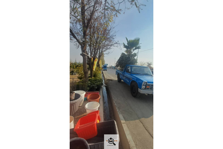 گلخانه گل های یاس در چهارباغ کرج