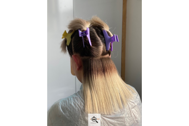 خدمات رنگ و لایت زهرا موسوی در بندرعباس