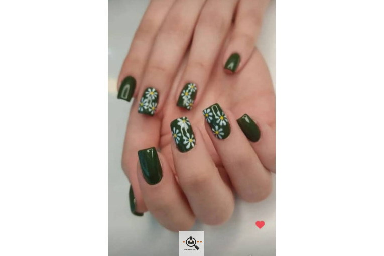 سالن آرایش زیباشو در کرج 09163025702